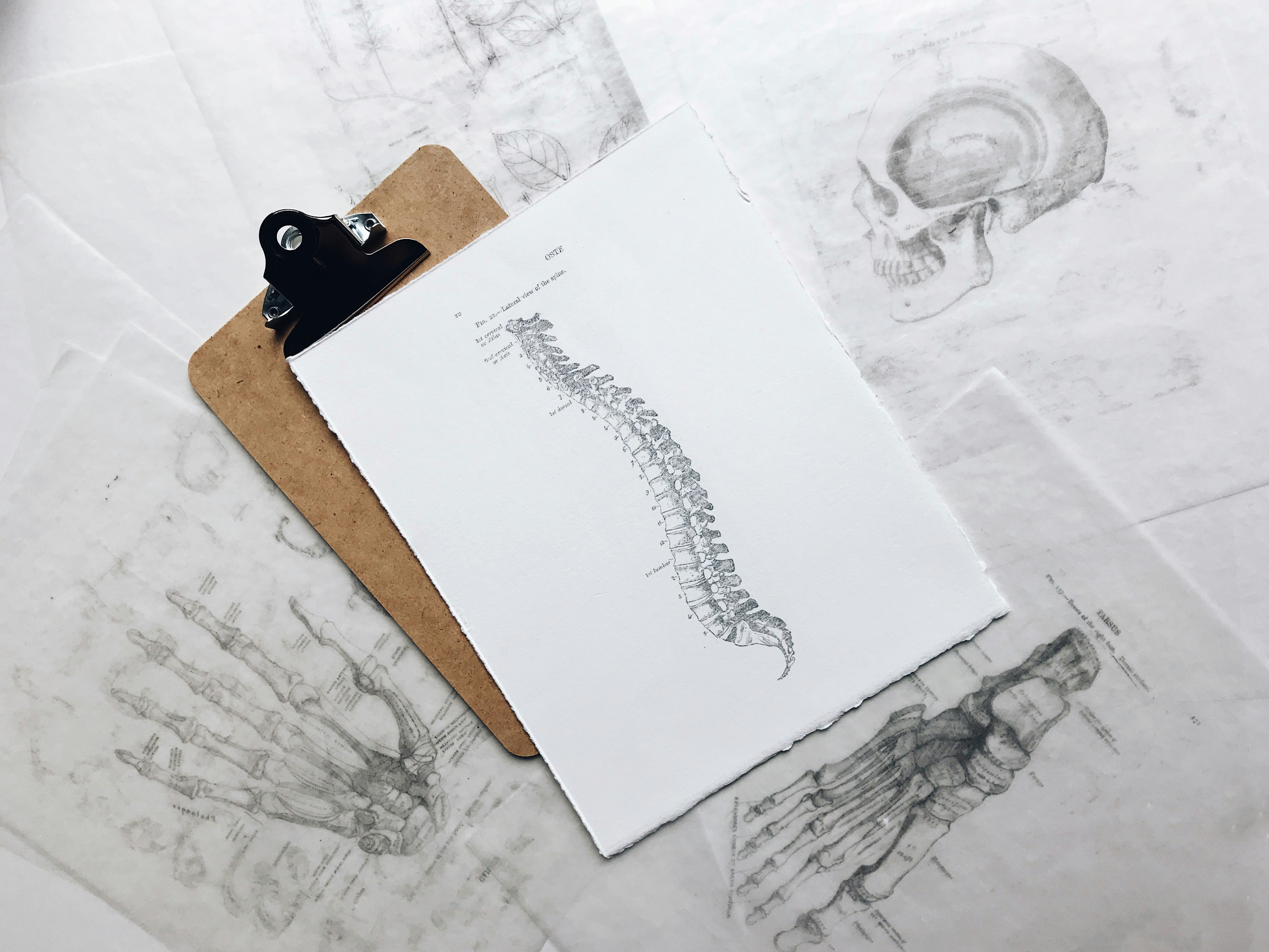 Photos with spine