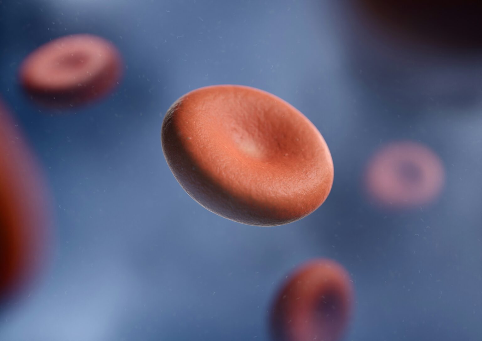Neutrophils - Blood Neutrophils - Blood