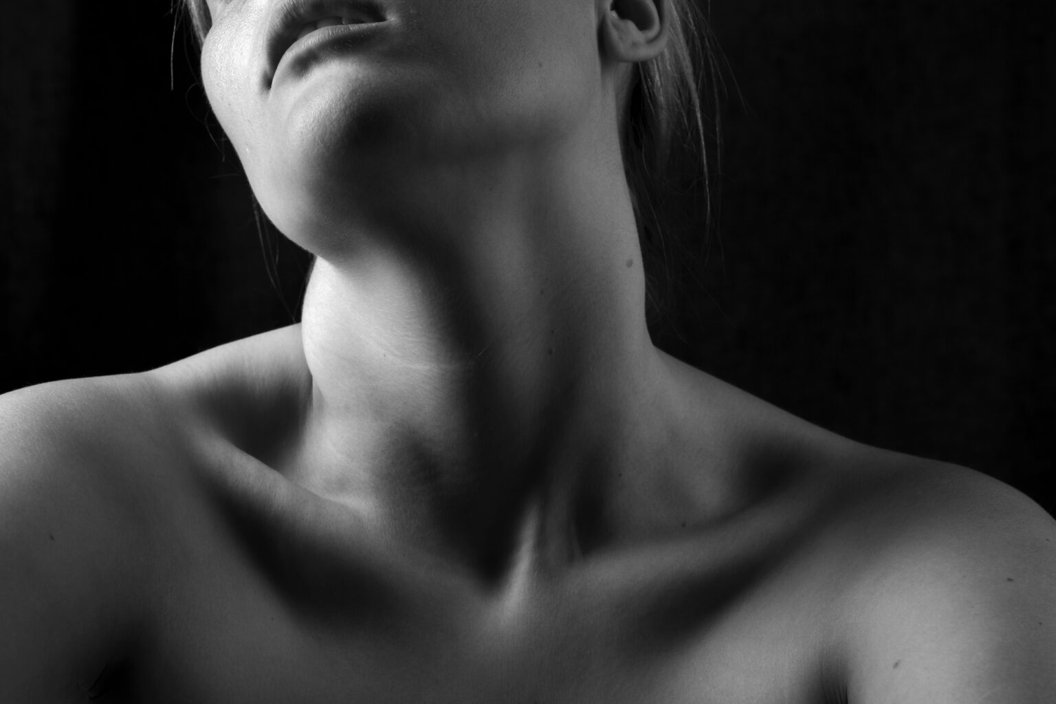 loume-visser-O7U51lfjPtY-unsplash (1)