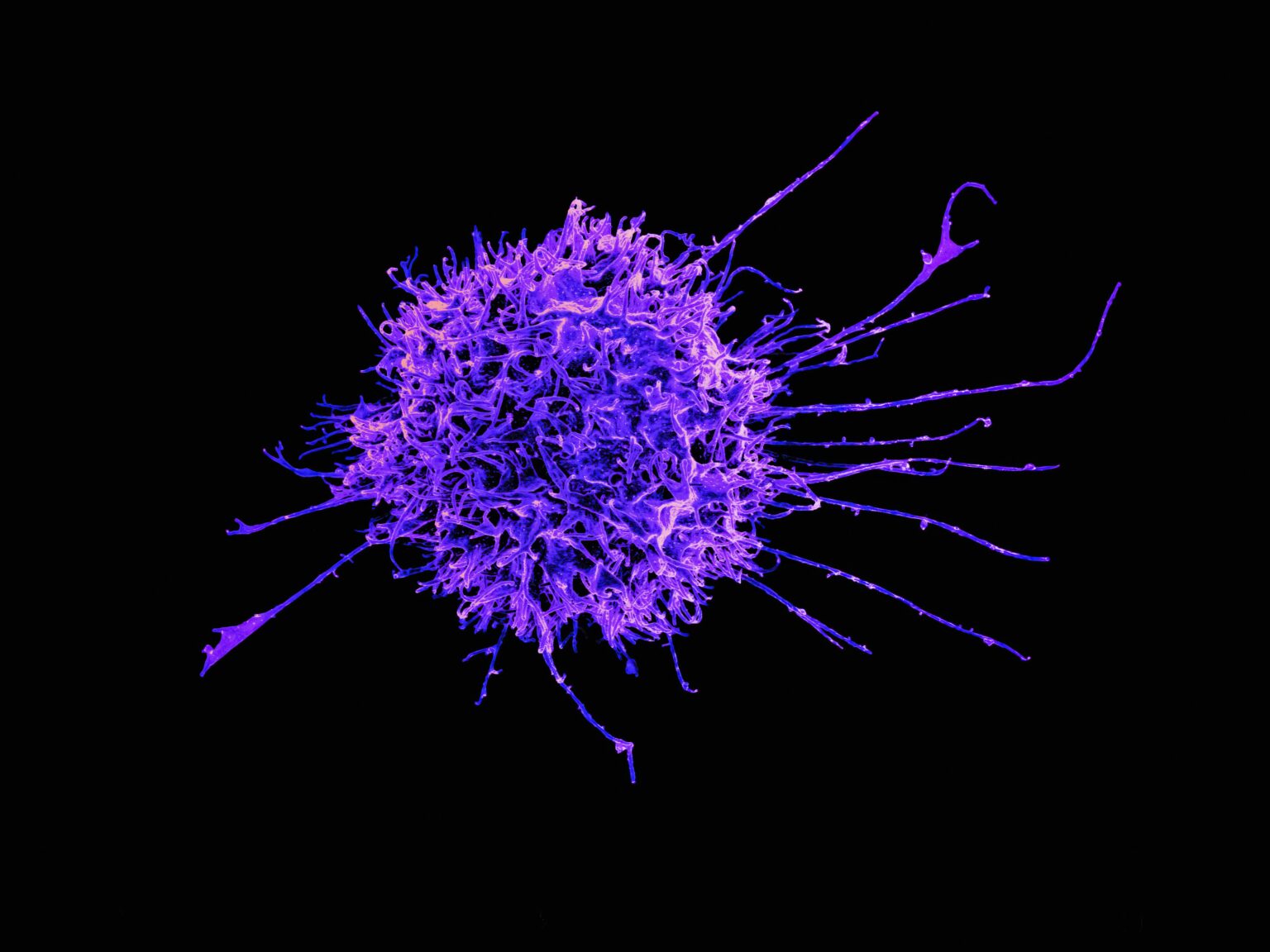 A view of a virus A view of a virus